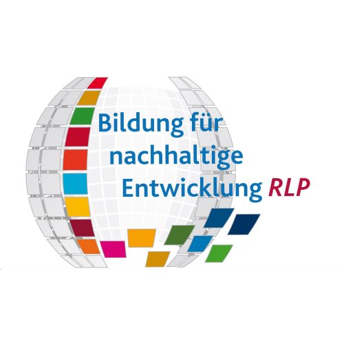 Logo BNE RLP PL